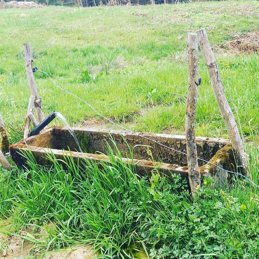 Landhaus Eibelesee Oberstaufen Dış mekan fotoğraf
