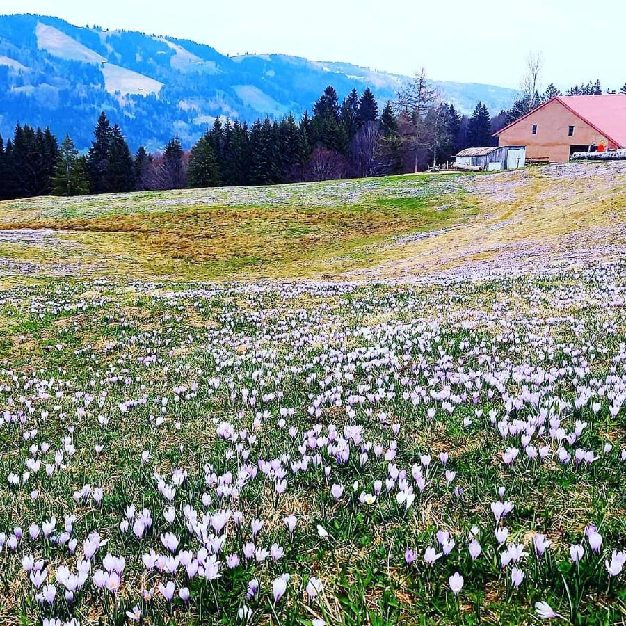 Landhaus Eibelesee Oberstaufen Dış mekan fotoğraf