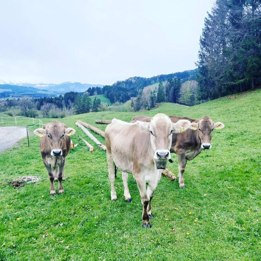 Landhaus Eibelesee Oberstaufen Dış mekan fotoğraf