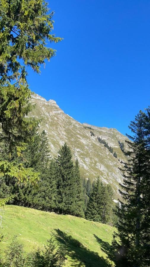 Landhaus Eibelesee Oberstaufen Dış mekan fotoğraf