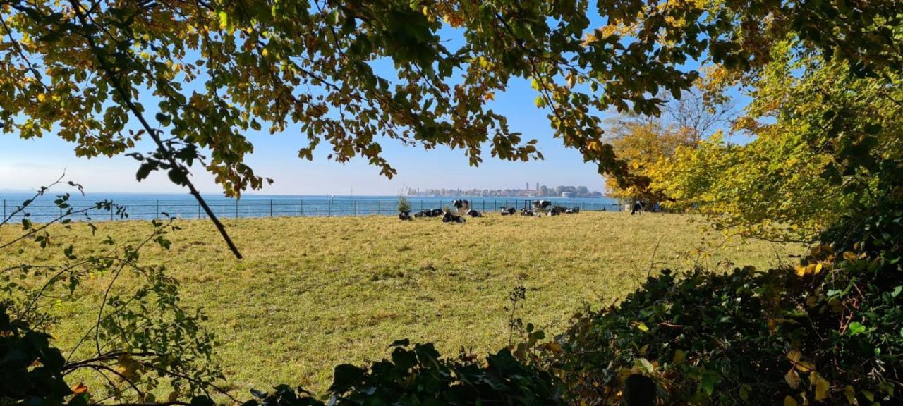 Landhaus Eibelesee Oberstaufen Dış mekan fotoğraf
