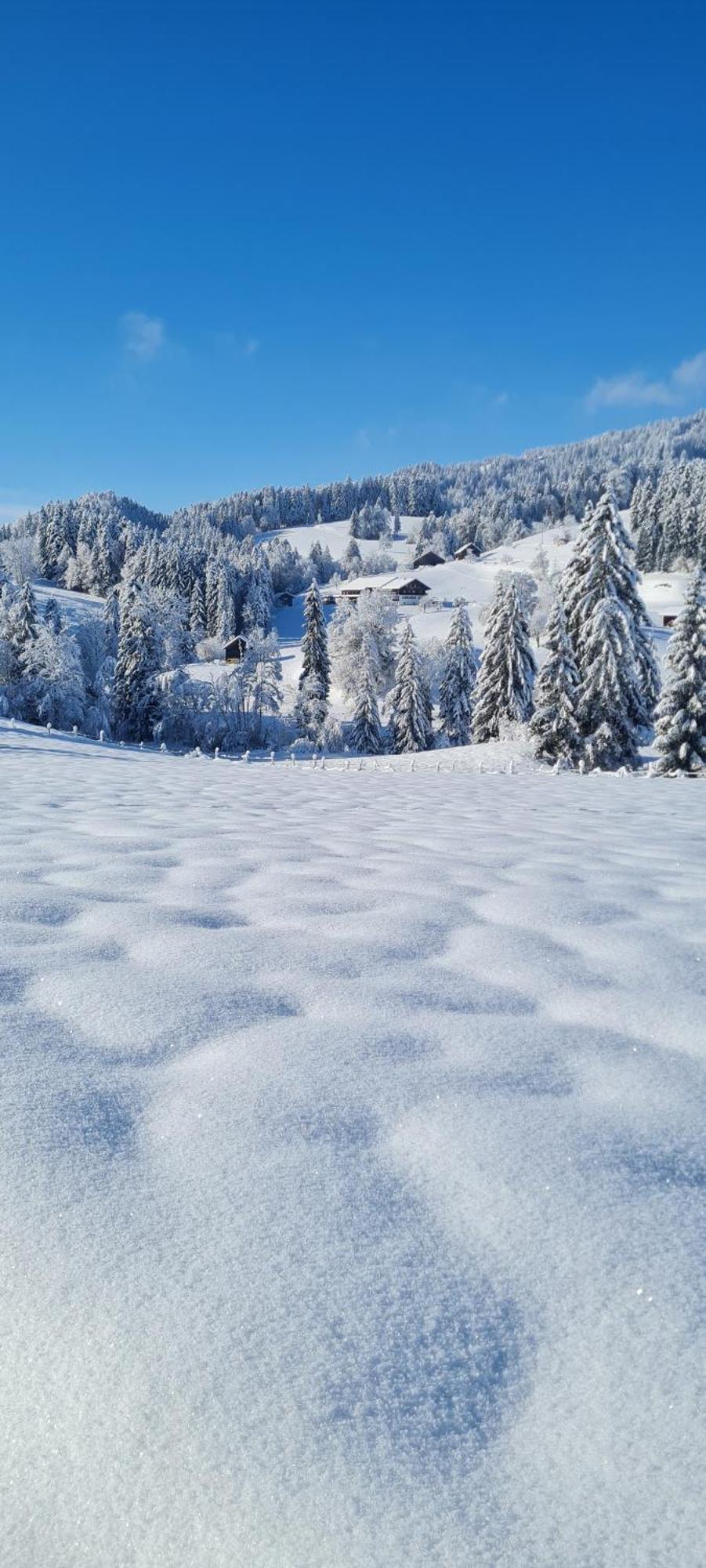 Landhaus Eibelesee Oberstaufen Dış mekan fotoğraf