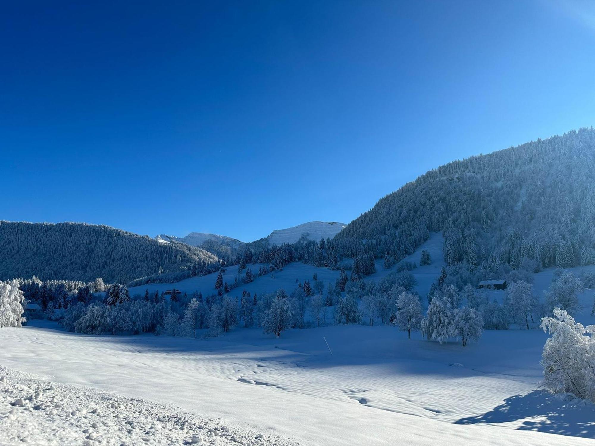 Landhaus Eibelesee Oberstaufen Dış mekan fotoğraf