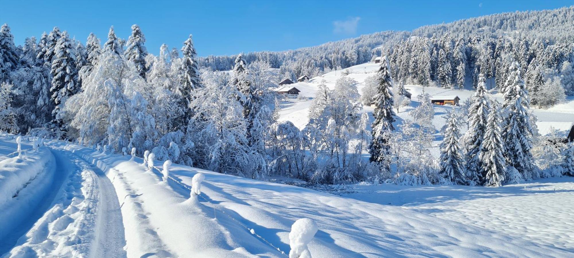 Landhaus Eibelesee Oberstaufen Dış mekan fotoğraf