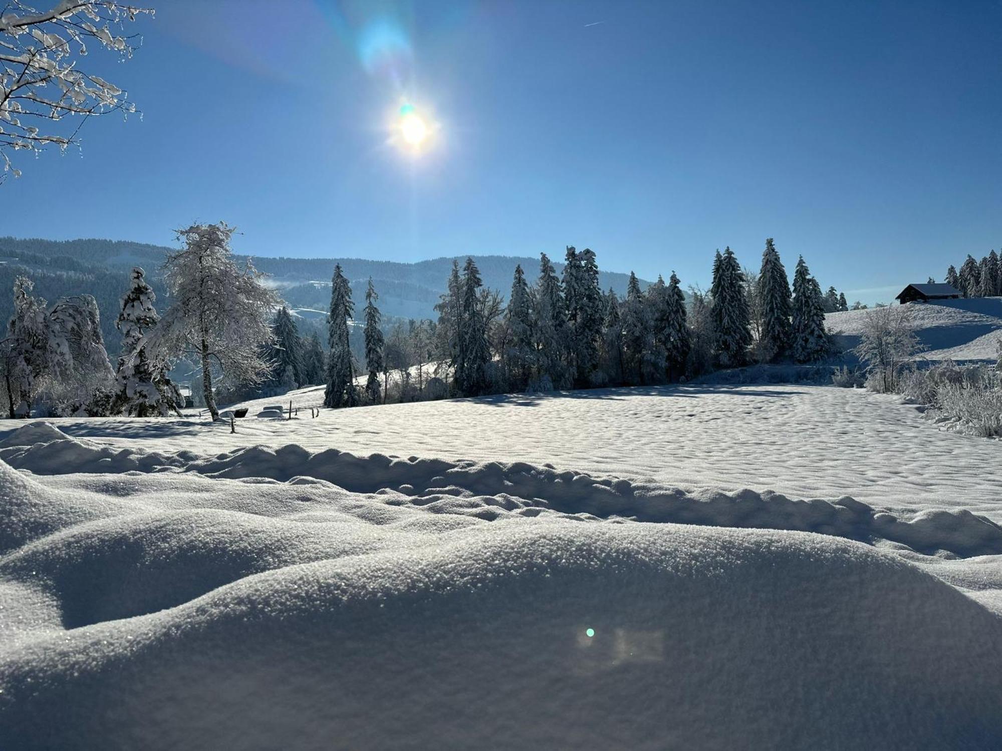 Landhaus Eibelesee Oberstaufen Dış mekan fotoğraf