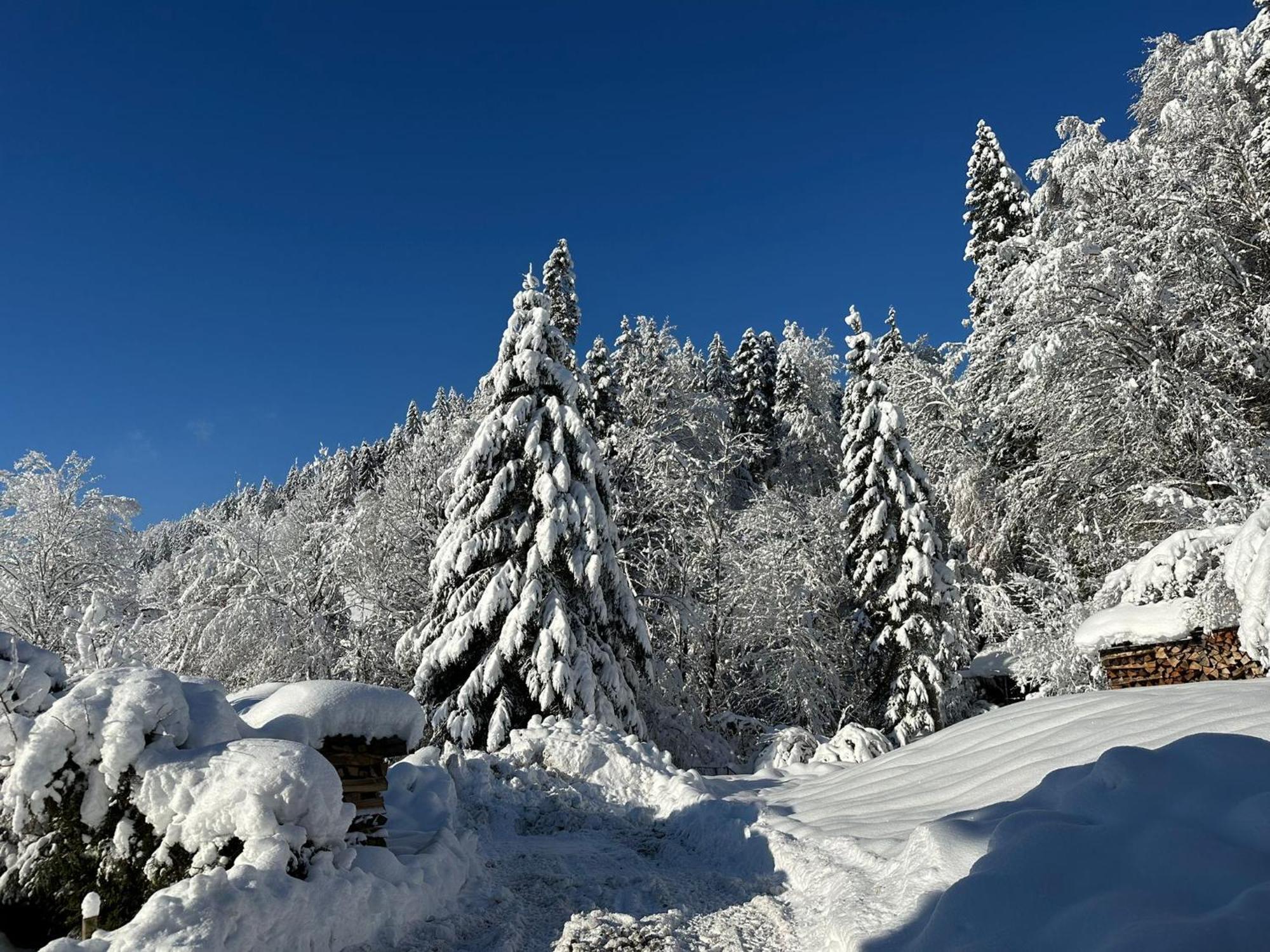 Landhaus Eibelesee Oberstaufen Dış mekan fotoğraf