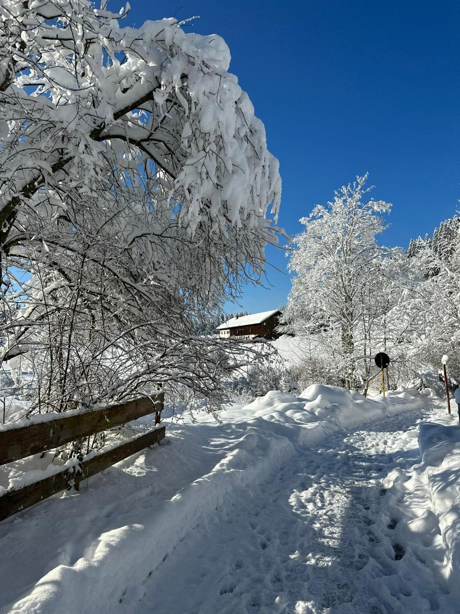 Landhaus Eibelesee Oberstaufen Dış mekan fotoğraf