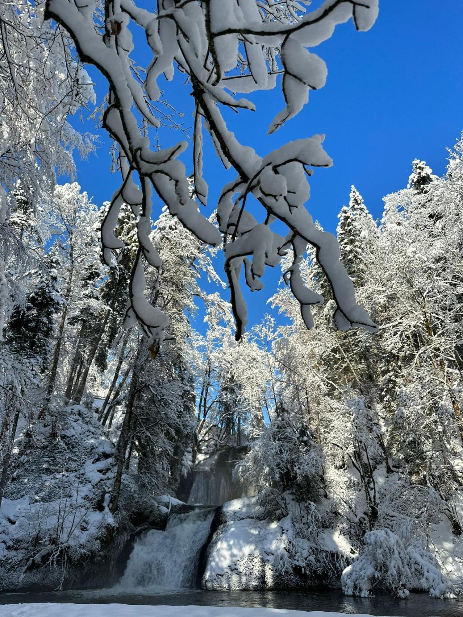 Landhaus Eibelesee Oberstaufen Dış mekan fotoğraf