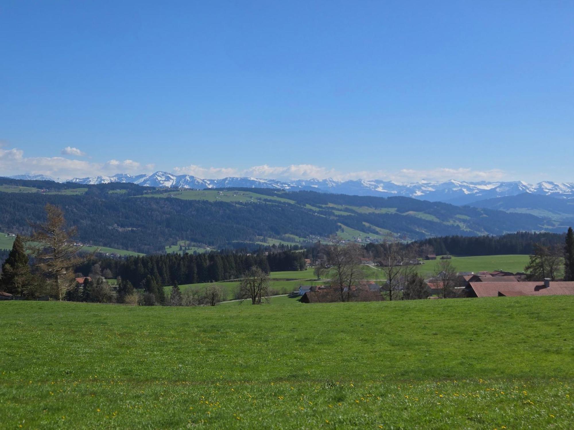 Landhaus Eibelesee Oberstaufen Dış mekan fotoğraf